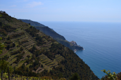 Hiking from Vernazza to Corniglia in Cinque Terre Italy