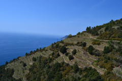 Hiking from Vernazza to Corniglia in Cinque Terre Italy