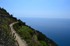 Hiking from Vernazza to Corniglia in Cinque Terre Italy