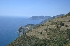 Hiking from Vernazza to Corniglia in Cinque Terre Italy