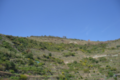 Hiking from Vernazza to Corniglia in Cinque Terre Italy