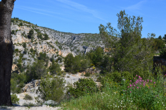 Hiking in the Calanques near Marseille, France