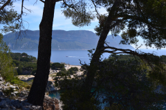 Hiking in the Calanques near Marseille, France