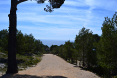 Hiking in the Calanques near Marseille, France