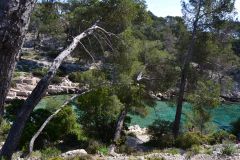 Hiking in the Calanques near Marseille, France