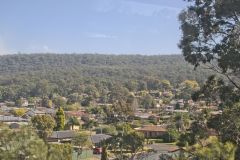 Scenery on a hike in the Blue Mountains, Australia