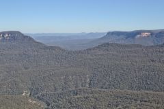 Scenery on a hike in the Blue Mountains, Australia