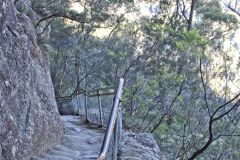 Scenery on a hike in the Blue Mountains, Australia