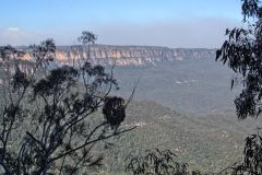 Scenery on a hike in the Blue Mountains, Australia