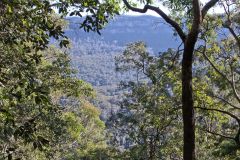 Scenery on a hike in the Blue Mountains, Australia