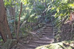 Scenery on a hike in the Blue Mountains, Australia
