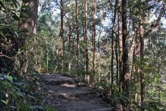 Scenery on a hike in the Blue Mountains, Australia