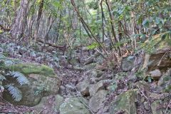 Scenery on a hike in the Blue Mountains, Australia