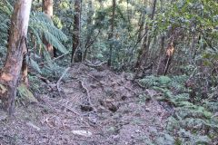 Scenery on a hike in the Blue Mountains, Australia