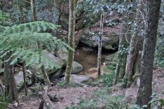 Scenery on a hike in the Blue Mountains, Australia
