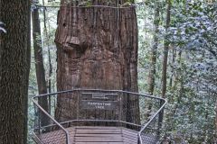 Scenery on a hike in the Blue Mountains, Australia