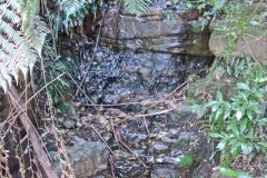 Scenery on a hike in the Blue Mountains, Australia