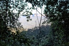 Scenery on a hike in the Blue Mountains, Australia