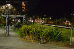 A night scene in the streets of Zetland, Sydney, Australia