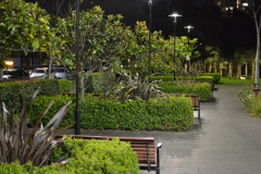 A night scene in the streets of Zetland, Sydney, Australia