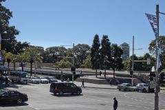 View in the Royal Botanical Garden Sydney, Australia