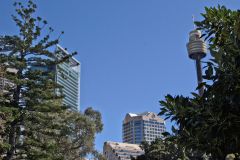 View in the Royal Botanical Garden Sydney, Australia