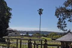 View in the Royal Botanical Garden Sydney, Australia