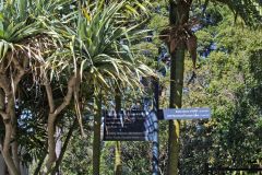 View in the Royal Botanical Garden Sydney, Australia
