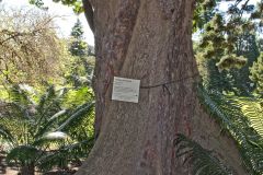 View in the Royal Botanical Garden Sydney, Australia