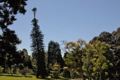 View in the Royal Botanical Garden Sydney, Australia