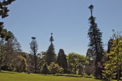 View in the Royal Botanical Garden Sydney, Australia
