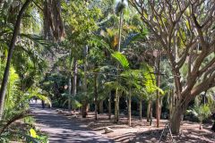 View in the Royal Botanical Garden Sydney, Australia