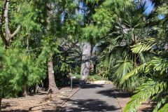 View in the Royal Botanical Garden Sydney, Australia