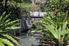 View in the Royal Botanical Garden Sydney, Australia
