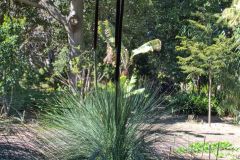 View in the Royal Botanical Garden Sydney, Australia