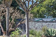View in the Royal Botanical Garden Sydney, Australia