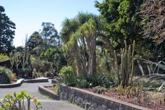 View in the Royal Botanical Garden Sydney, Australia