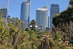 View in the Royal Botanical Garden Sydney, Australia