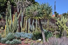 View in the Royal Botanical Garden Sydney, Australia