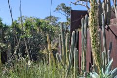View in the Royal Botanical Garden Sydney, Australia