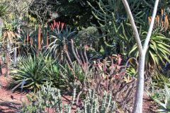 View in the Royal Botanical Garden Sydney, Australia