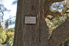 View in the Royal Botanical Garden Sydney, Australia