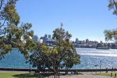 View in the Royal Botanical Garden Sydney, Australia