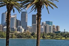 Sydney CBD taken from the Royal Botanical Garden Sydney, Australia