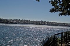 North Sydney taken from the Royal Botanical Garden Sydney, Australia