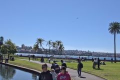 View in the Royal Botanical Garden Sydney, Australia