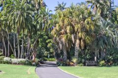 View in the Royal Botanical Garden Sydney, Australia