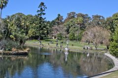 View in the Royal Botanical Garden Sydney, Australia