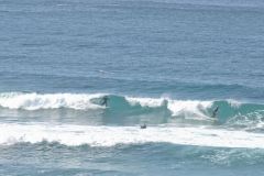 Scenery on a walk from Bondi Beach to Cape Banks in Winter in Sydney, Australia