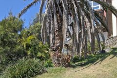 Scenery on a walk from Bondi Beach to Cape Banks in Winter in Sydney, Australia